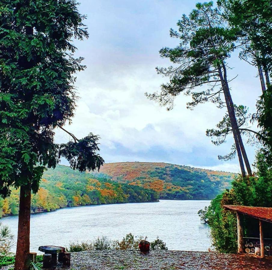 O Faya Cottage Votre Gite Calme Et Verdoyant En Bretagne Saint-Mayeux ภายนอก รูปภาพ