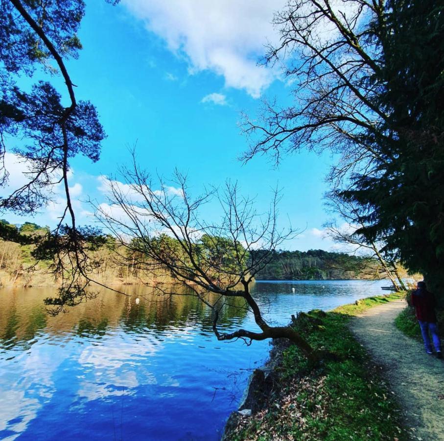O Faya Cottage Votre Gite Calme Et Verdoyant En Bretagne Saint-Mayeux ภายนอก รูปภาพ