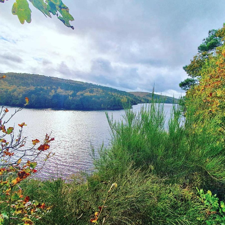 O Faya Cottage Votre Gite Calme Et Verdoyant En Bretagne Saint-Mayeux ภายนอก รูปภาพ